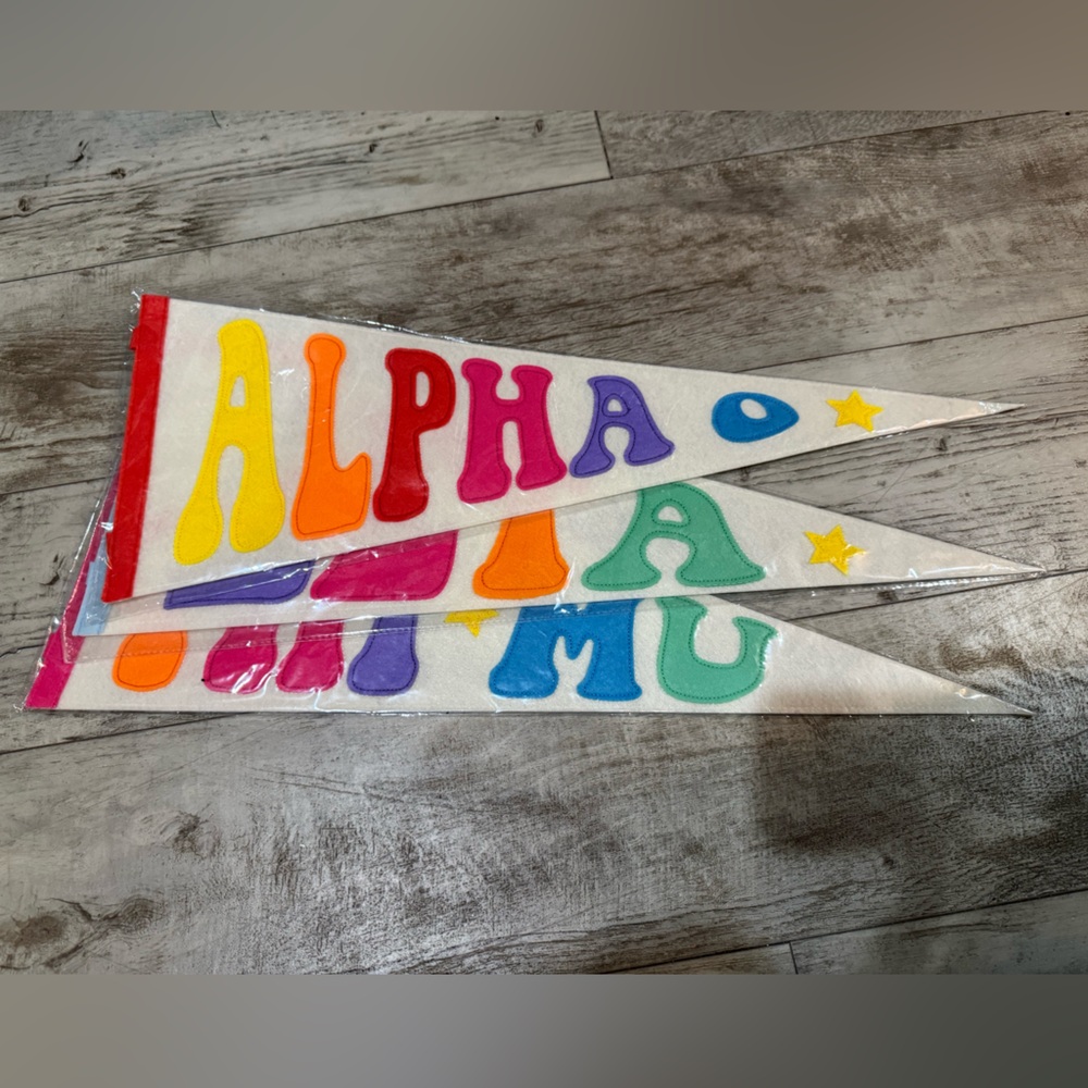 AOII Banner